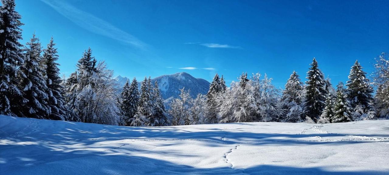 Apartma Ursic Kranjska Gora Εξωτερικό φωτογραφία