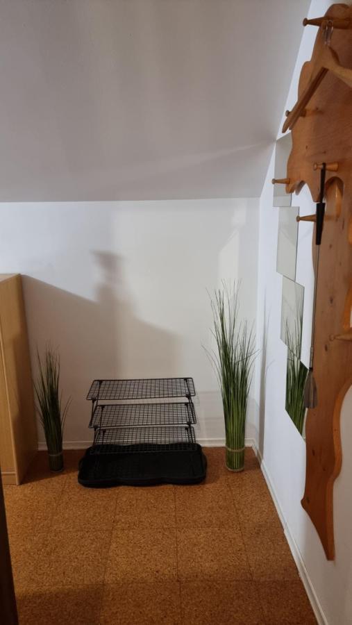 Apartma Ursic Kranjska Gora Εξωτερικό φωτογραφία